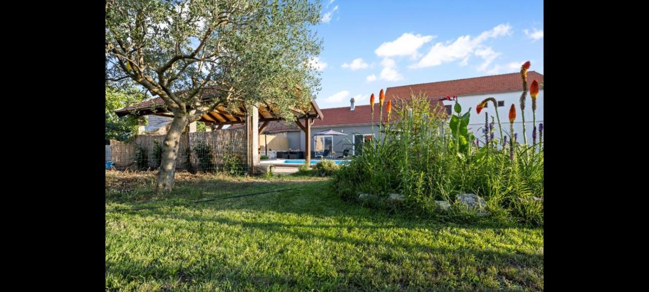 Olive Tree House With Jacuzzi, Wifi And 40M2 Pool Villa Siritovci Exteriör bild